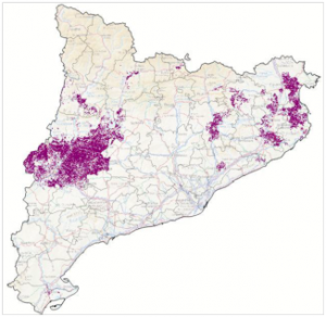 Zones de cultiu de blat de moro a Catalunya